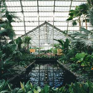 国产成人无码精品色欲天香
